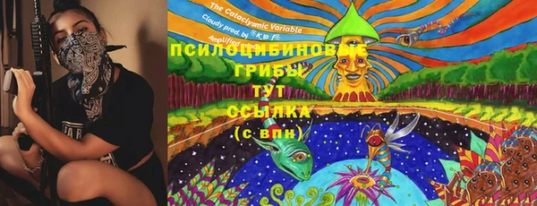 эйфоретик Арсеньев