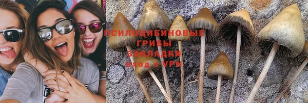 стафф Аркадак
