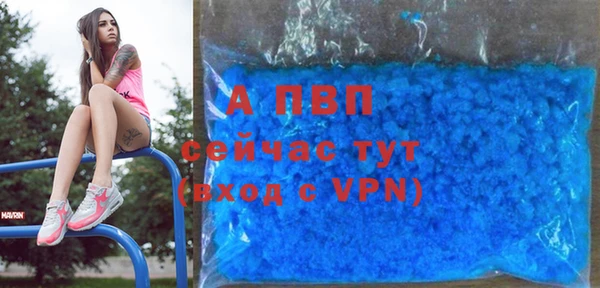 стафф Аркадак