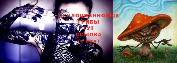 стафф Аркадак